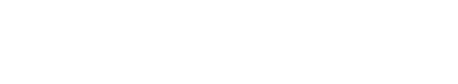 Nolan New Logo 2025 Center Cutout WHITE